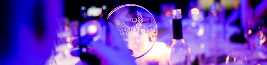 Website of the Year 2013